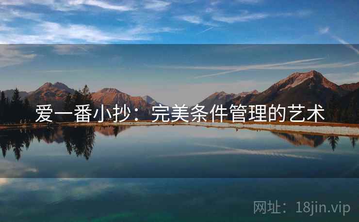 爱一番小抄：完美条件管理的艺术